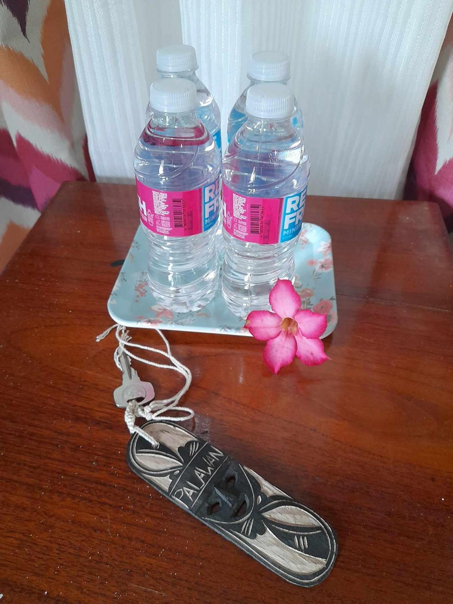 El Taraw Bed & Breakfast Puerto Princesa Εξωτερικό φωτογραφία